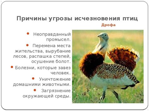 Причины угрозы ландыша