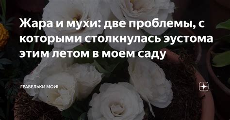 Проблемы, с которыми столкнулась пара
