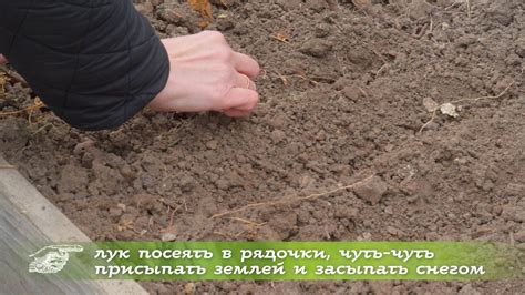 Проблемы с землей