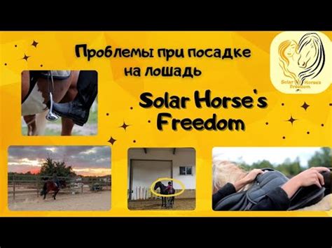 Профилактика и устранение проблем с посадкой на роликах