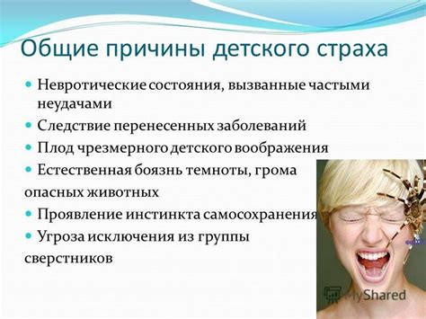 Проявление инстинкта обоняния