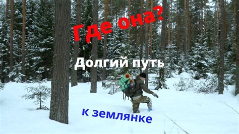 Путь в поисках