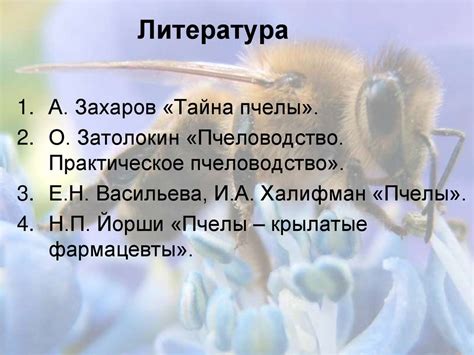 Пчелы и их роль в природе