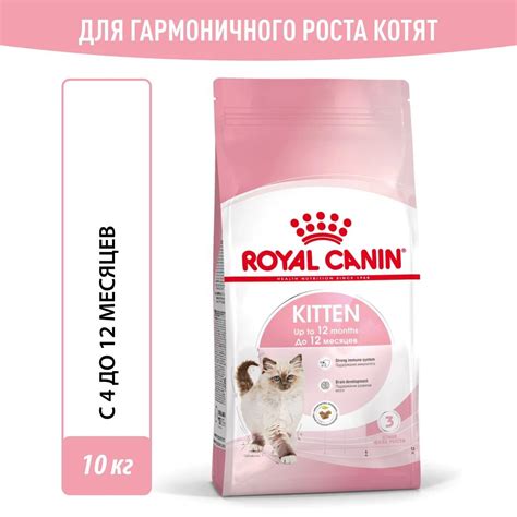 Развитие лап у котят в период роста