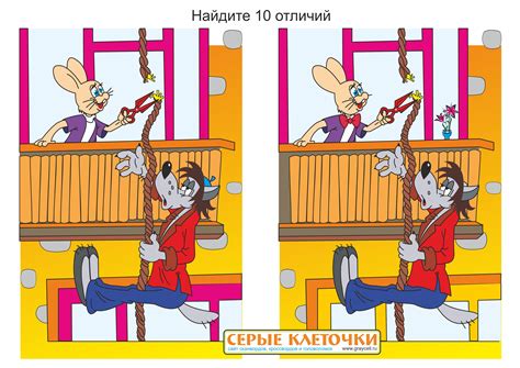 Различия в интересах и хобби