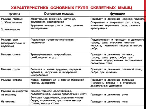 Разновидности окраски и их функции