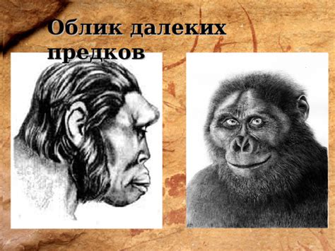 Расшифровка генетической загадки: наследие далеких предков