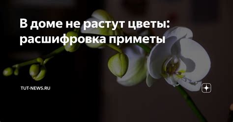 Расшифровка приметы