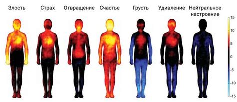 Реакция организма