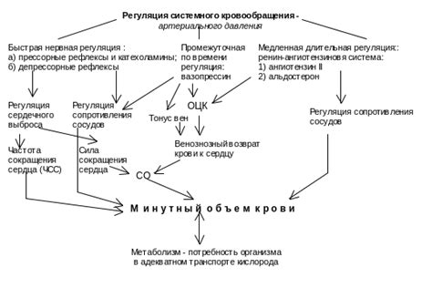 Регуляция кормления