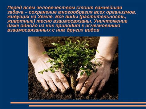 Результаты и положительное влияние на страну