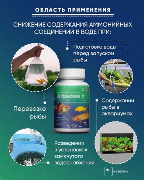 Рекомендация №3: Поддерживать правильный баланс аммиака в аквариуме