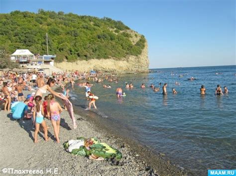 Роль воды для здоровья морской свинки