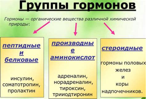 Роль гормонов в формировании сильных эмоциональных связей