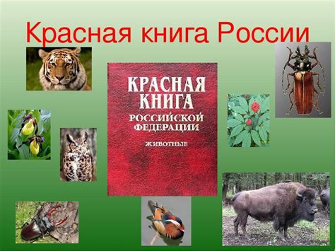 Роль красной книги в сокращении угроз