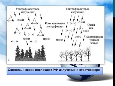 Роль меланина в защите от УФ-излучения