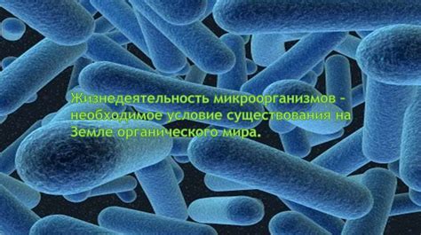 Роль микроорганизмов