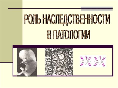 Роль наследственности в возникновении анусных волос