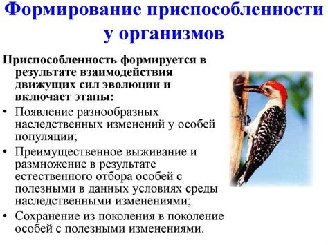 Роль окраски в защите и обнаружении насекомых: