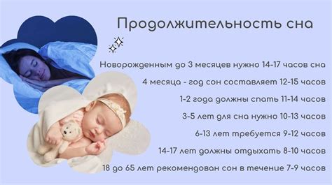 Роль сна в жизни медведя