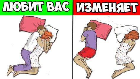 Роль собственности и территории в выборе места для сна