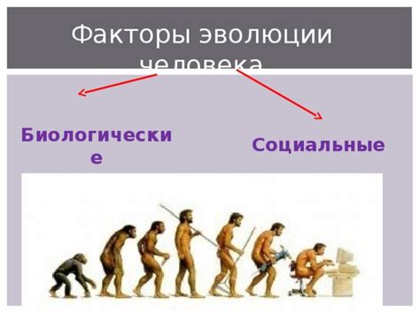 Роль эволюции