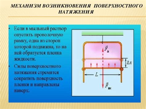 Свойство поверхностного натяжения