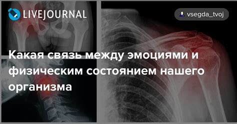 Связь между эмоциональным состоянием и движением лапок у кошек