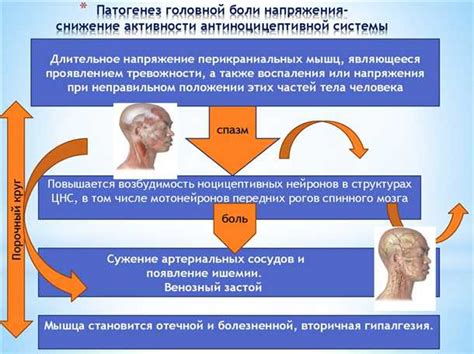 Связь с состоянием организма