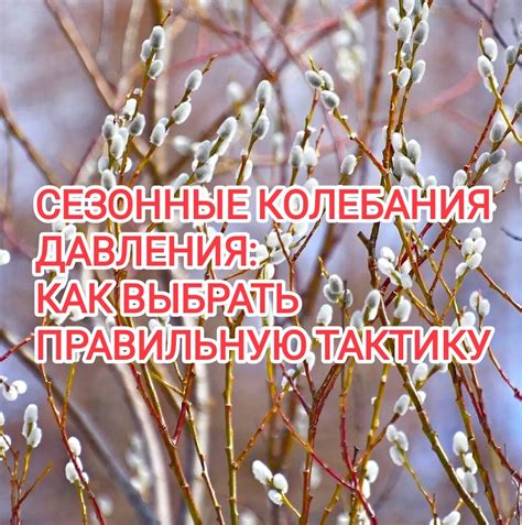Сезонные факторы и отсутствие шишек