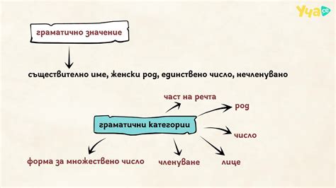 Семантика и значение