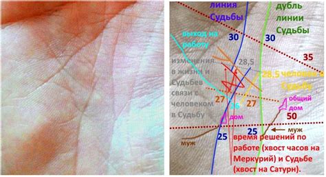 Символическое значение разницы между линией ума и линией жизни