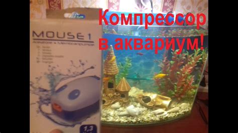 Слишком глубокая установка компрессора в аквариуме
