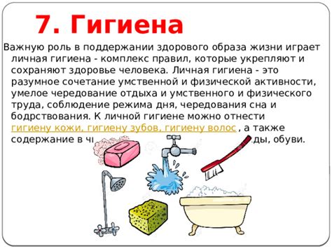 Собачья гигиена: роль нюхания под хвостом в поддержании чистоты