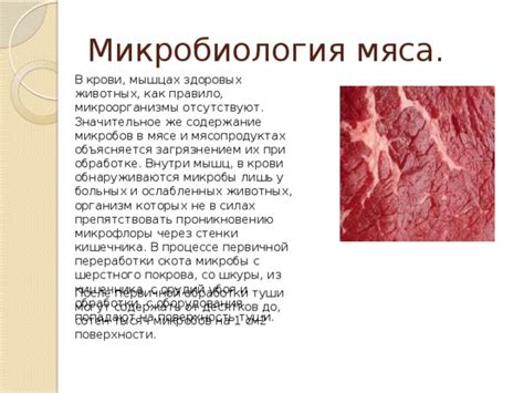 Содержание крови в мясе