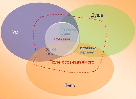 Состояние сна и подсознание