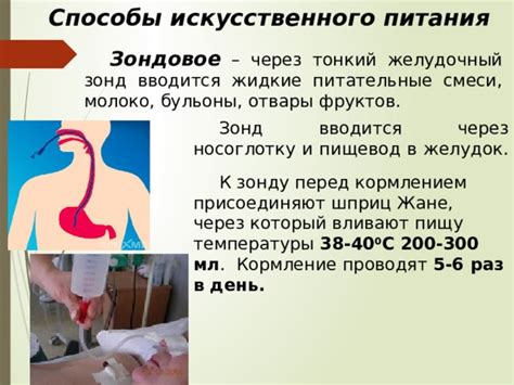Способы разрушения судьбы через кормление