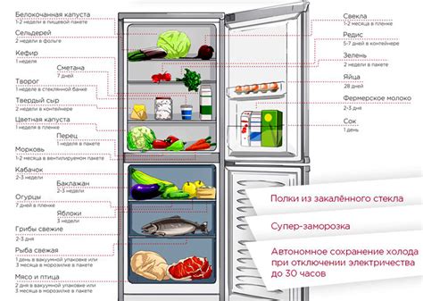 Сроки годности сока каланхоэ при хранении в холодильнике