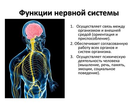 Стимулирование нервной системы