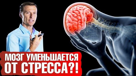 Стресс и подавление