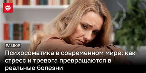 Стресс и тревога кота