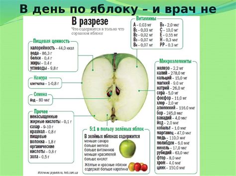 Структура яблока