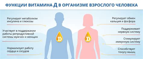 Таинственный адреналин и его роль в организме