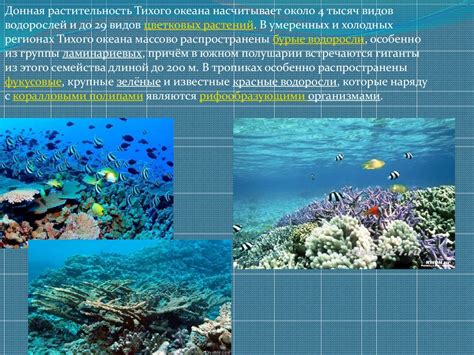 Тихий океан как потенциальная альтернатива