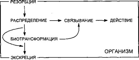 Токсичность для животных