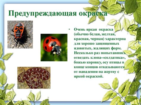 Угрозы для естественного среды обитания