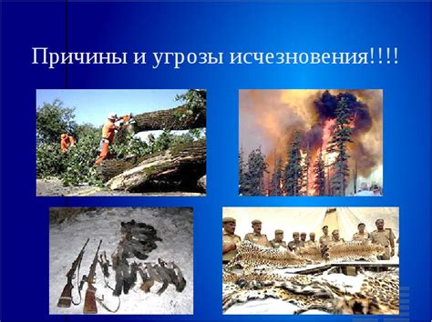 Угрозы и причины исчезновения вида