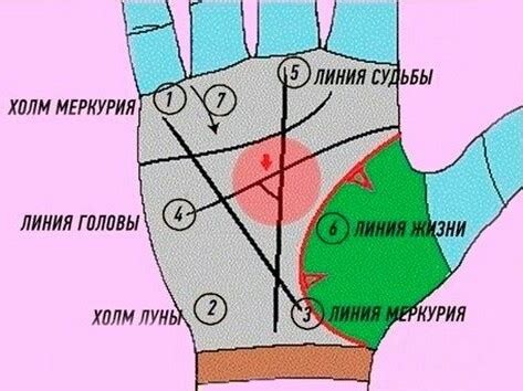 Узнайте свою судьбу из линий руки
