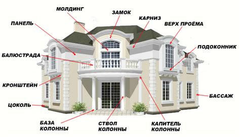 Укажите на внешний облик