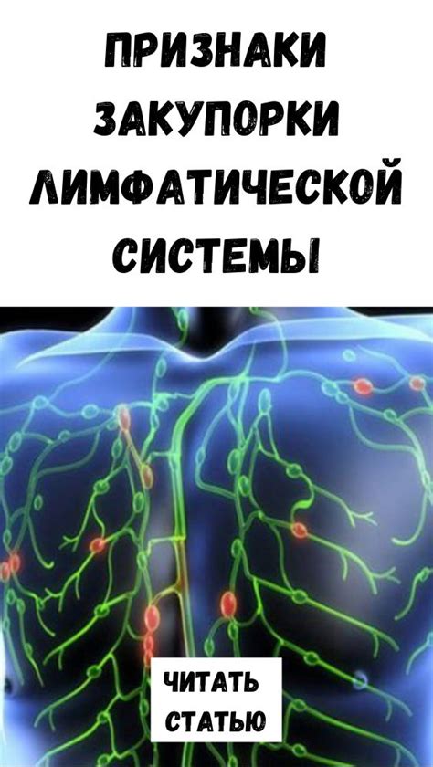 Улучшение лимфатического потока